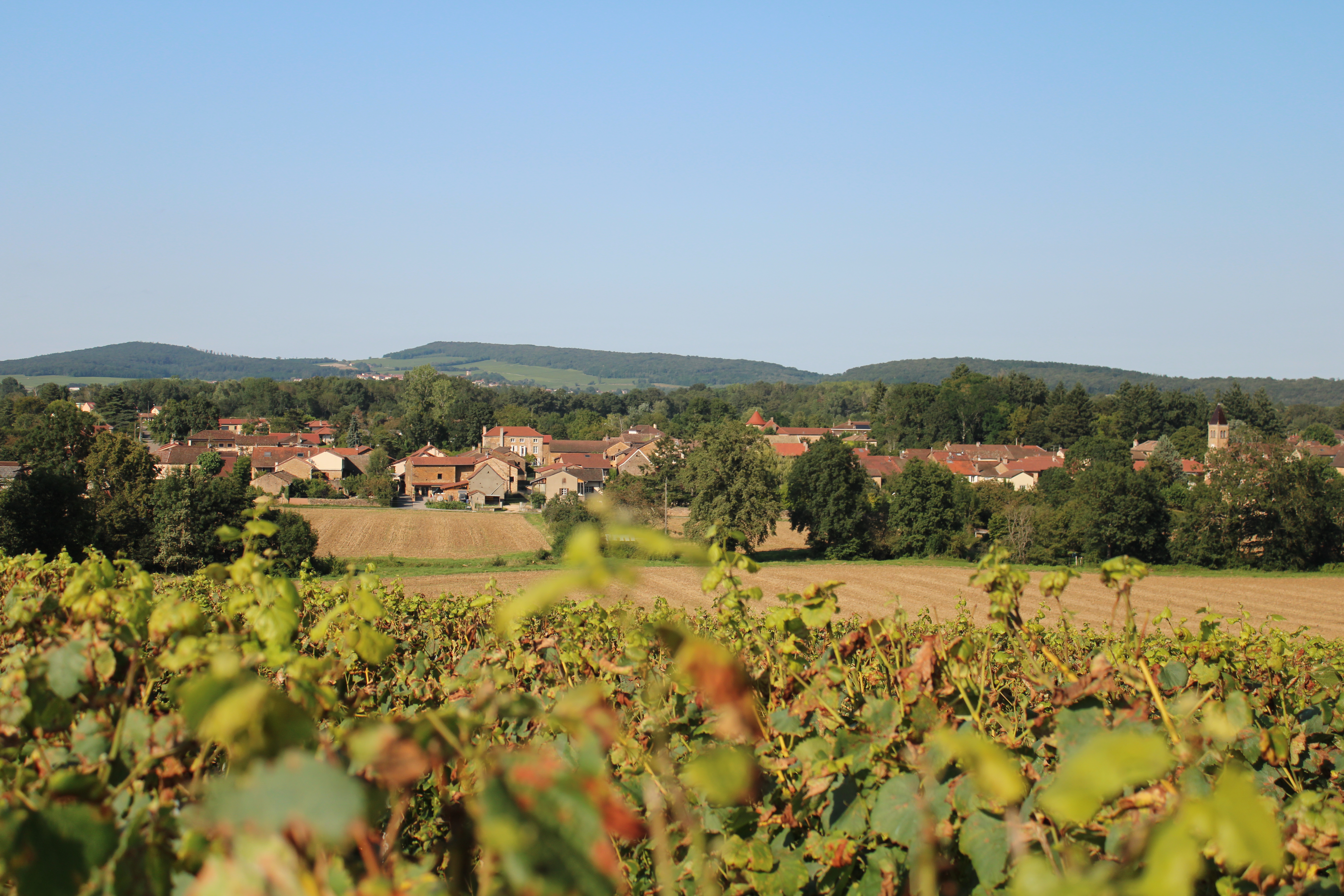 Banniere Saint Maurice de Satonnay